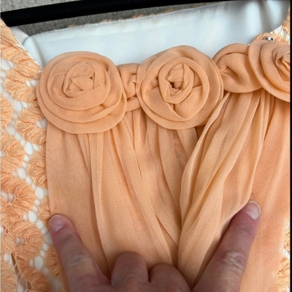 Vintage 60s Short Sleeve Peach Chiffon Empire Waist Maxi Sheath Dress ILGWU - Picture 6 of 11